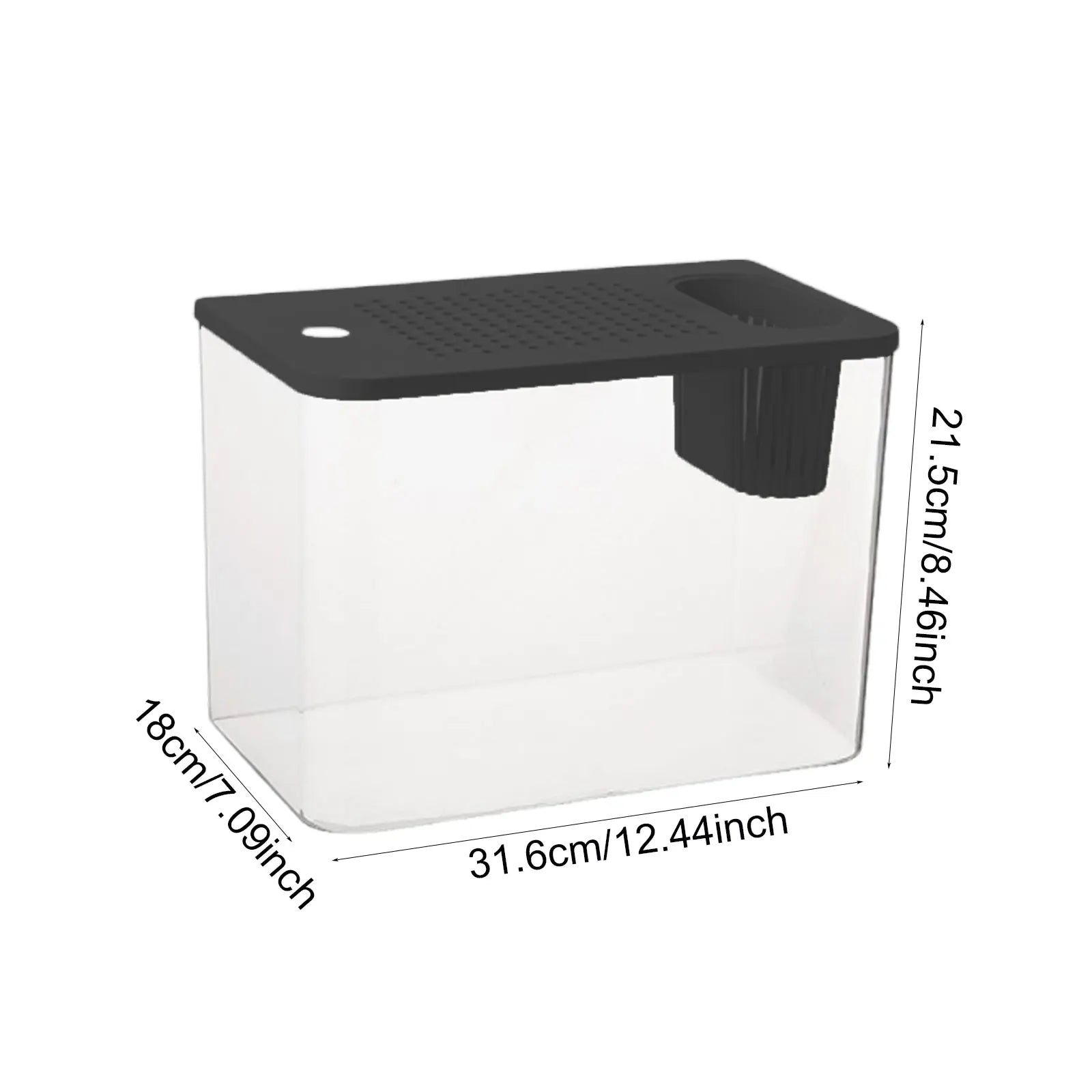 Transparent Reptile Habitat Box