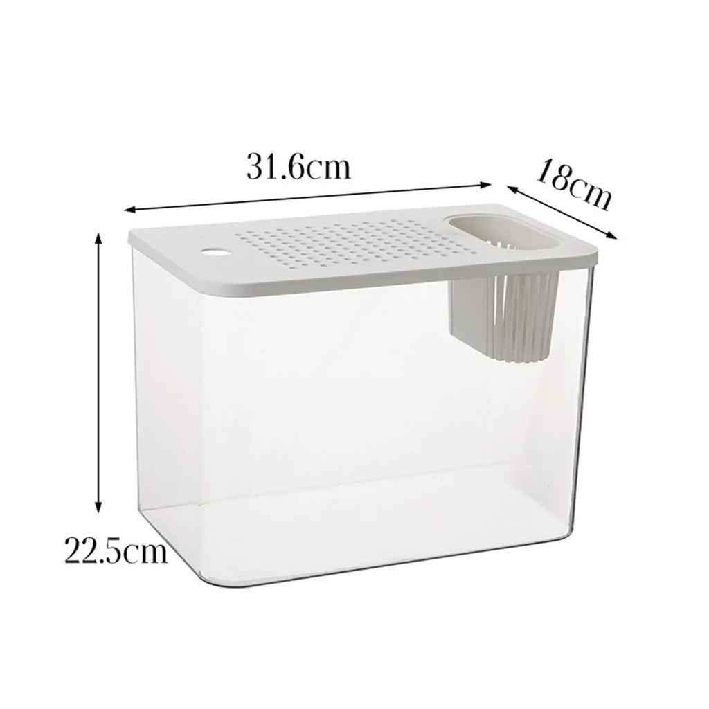 Transparent Reptile Habitat Box