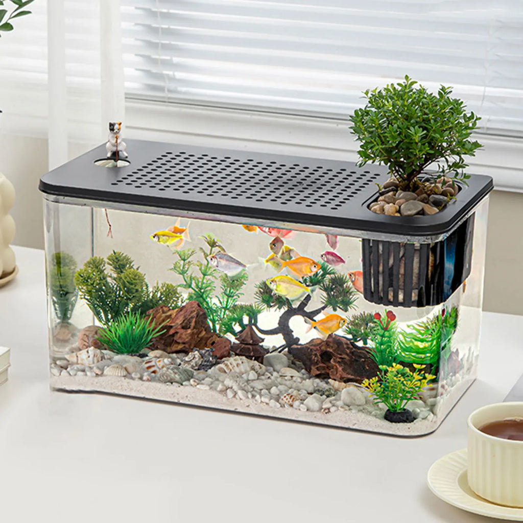 Transparent Reptile Habitat Box