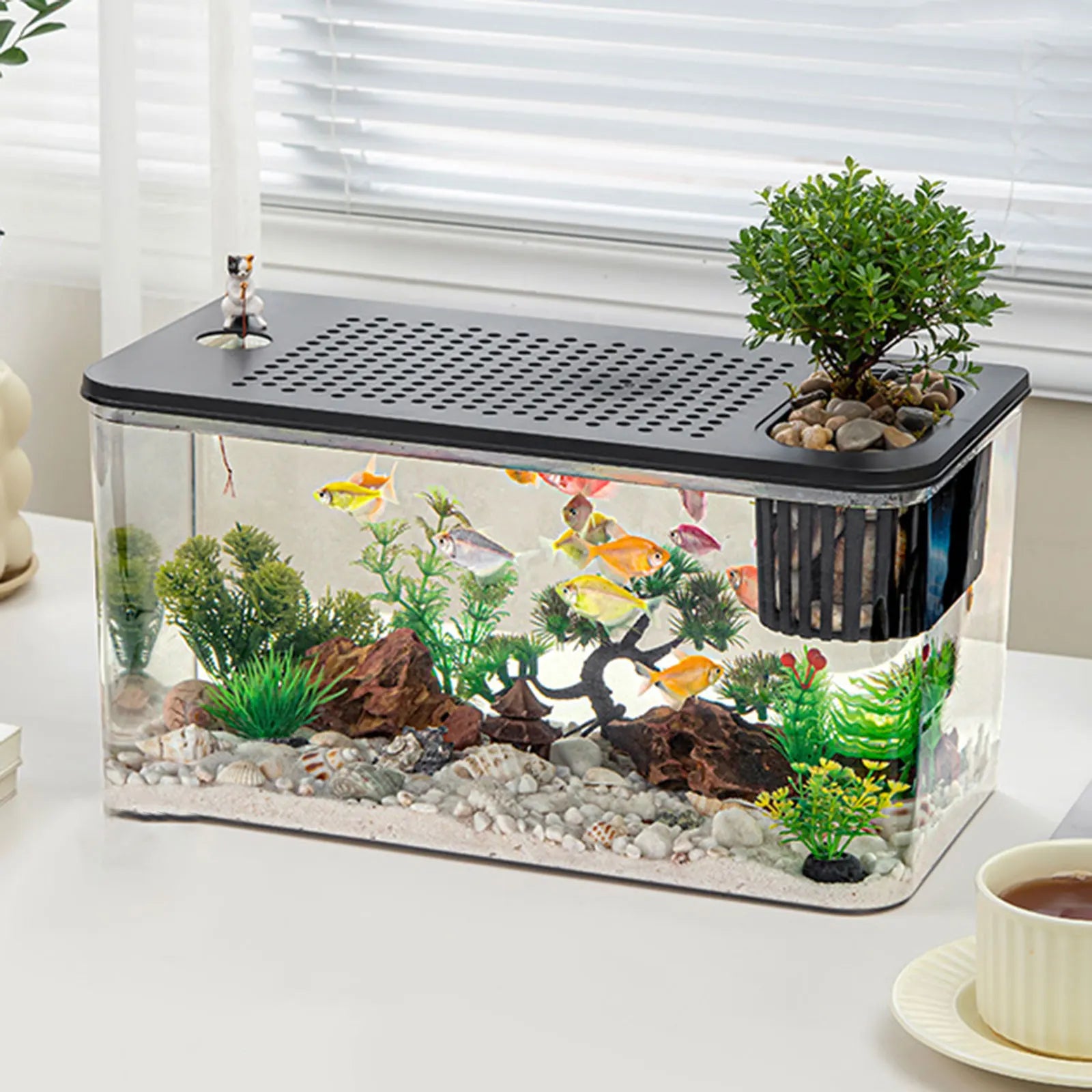 Transparent Reptile Habitat Box