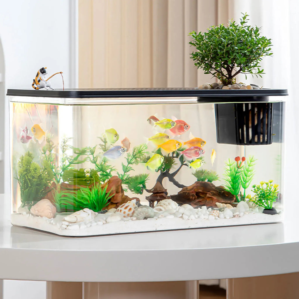Transparent Reptile Habitat Box