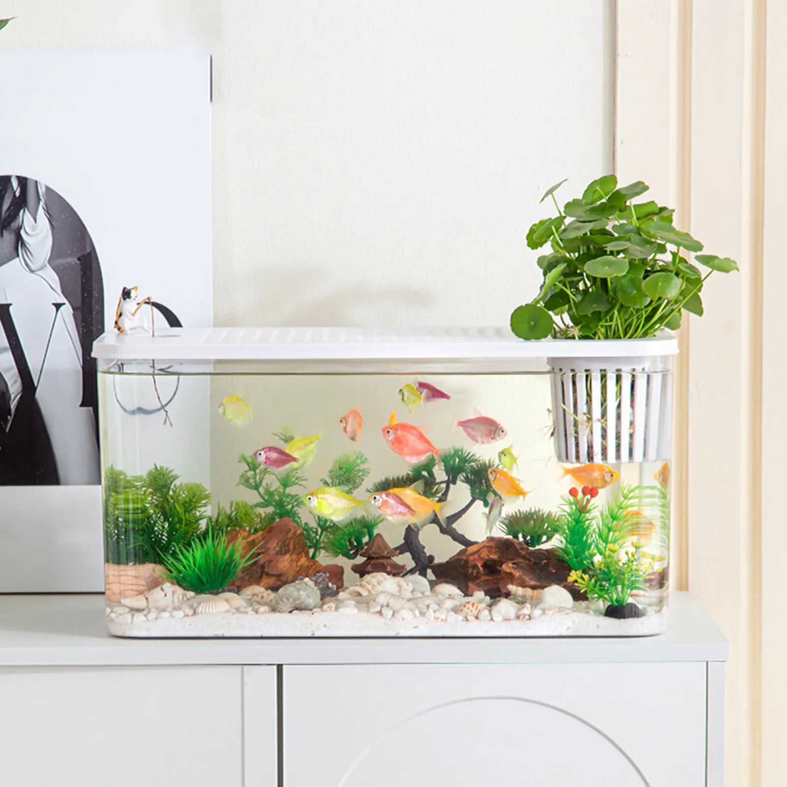 Transparent Reptile Habitat Box