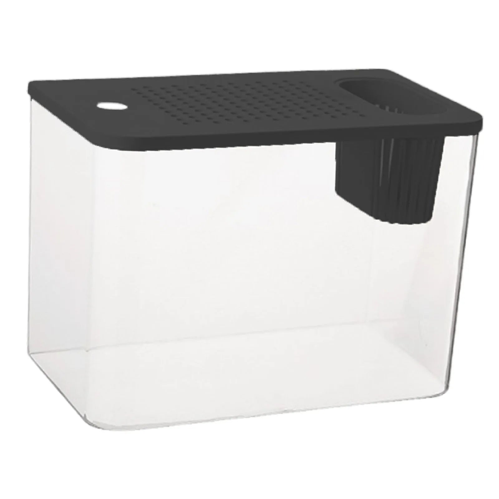 Transparent Reptile Habitat Box