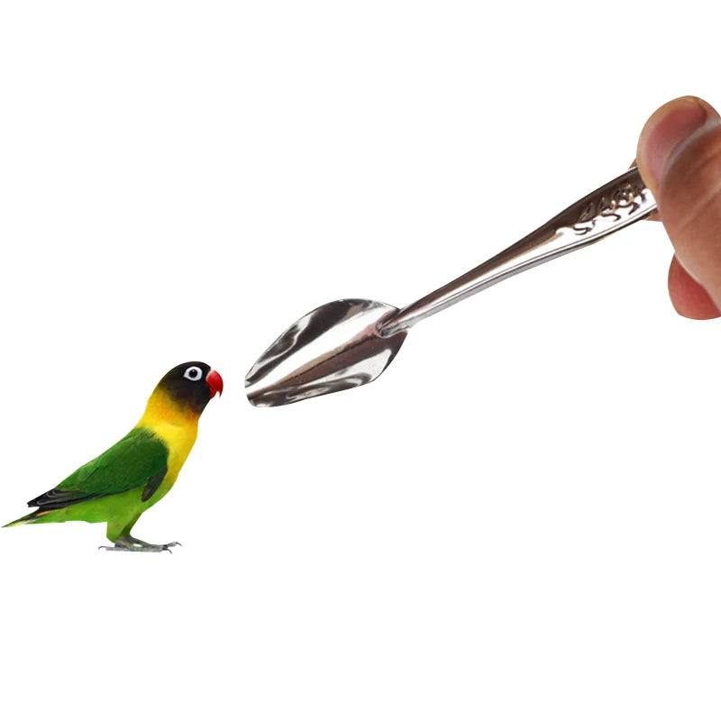 Aluminium Bird Feeding Spoon