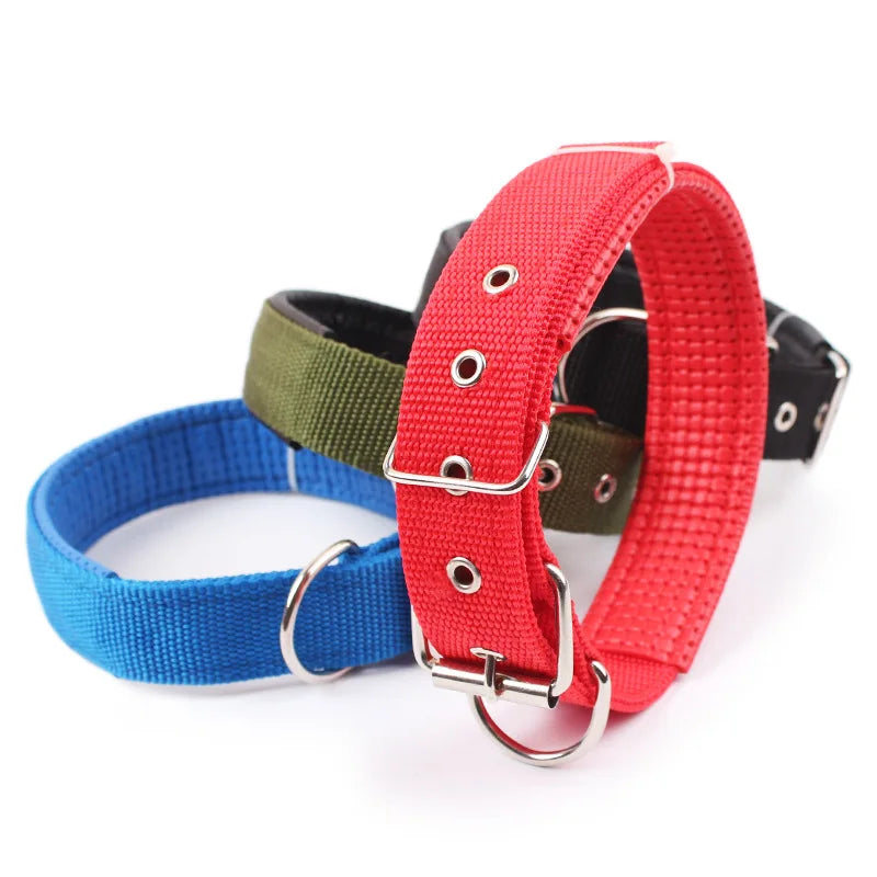 Solid Nylon Dog Collar