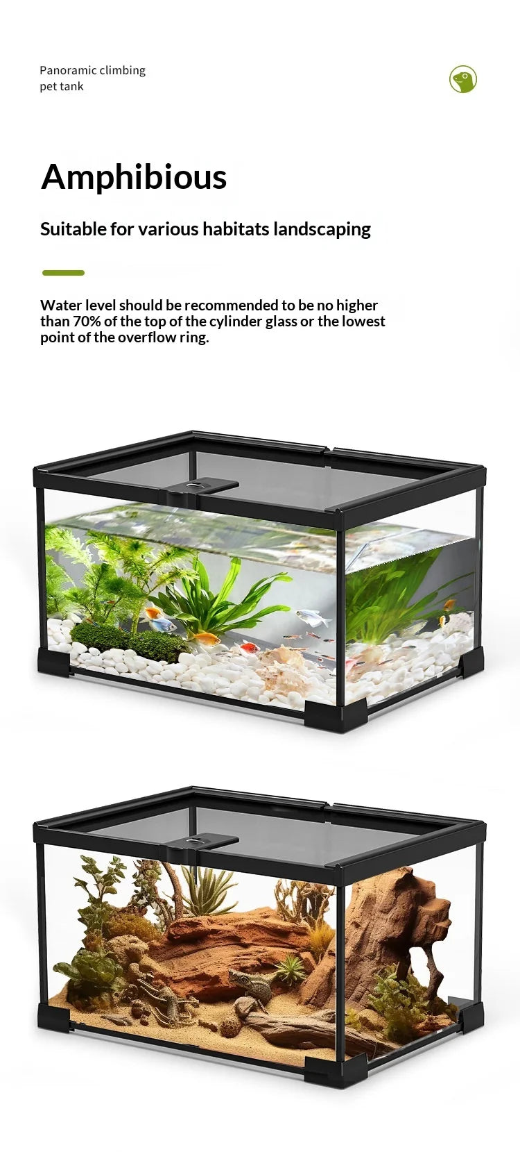 Glass Reptile Display Tank