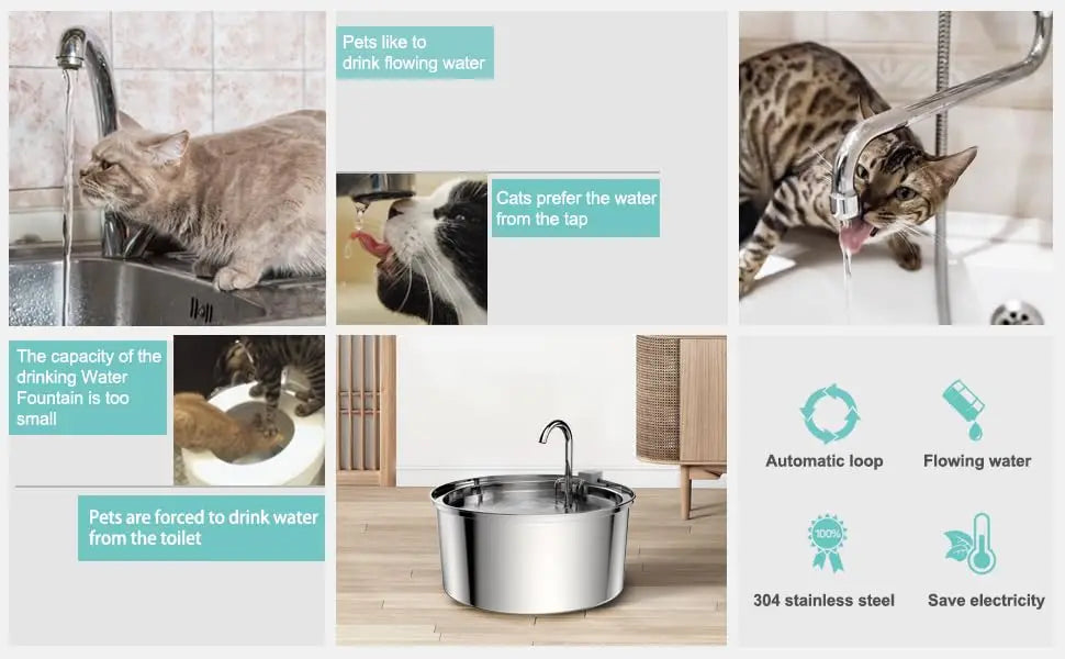 Stainless Steel Cat Water Fountain