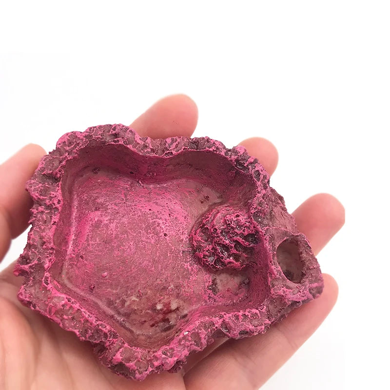 Resin Reptile Feeder Bowl