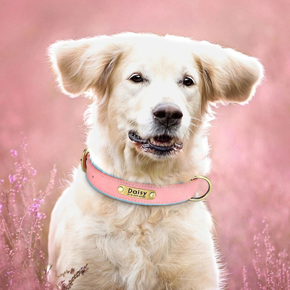 Custom Engraved PU Leather Dog Collar