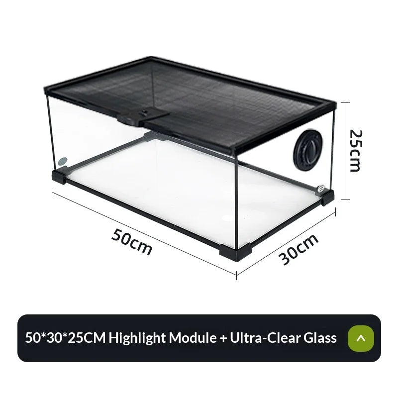 Glass Reptile Display Tank