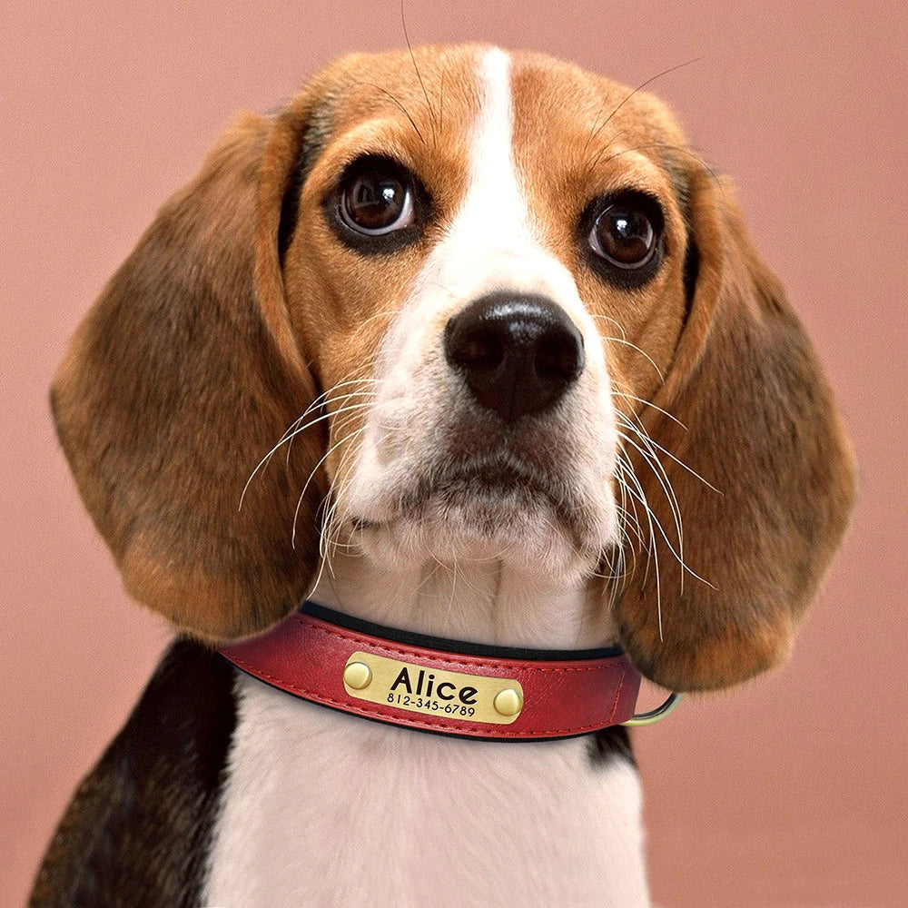 Custom Engraved PU Leather Dog Collar