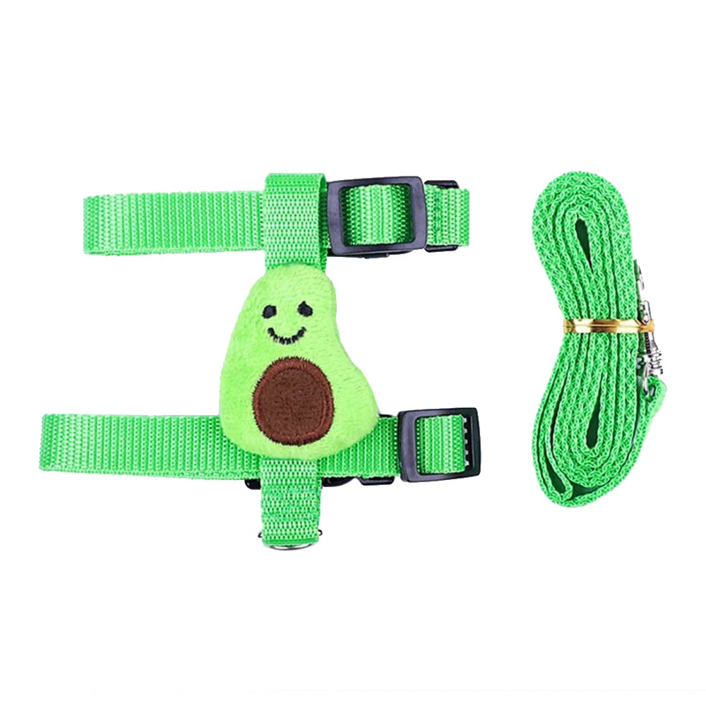 Small Animal Harness & Leash