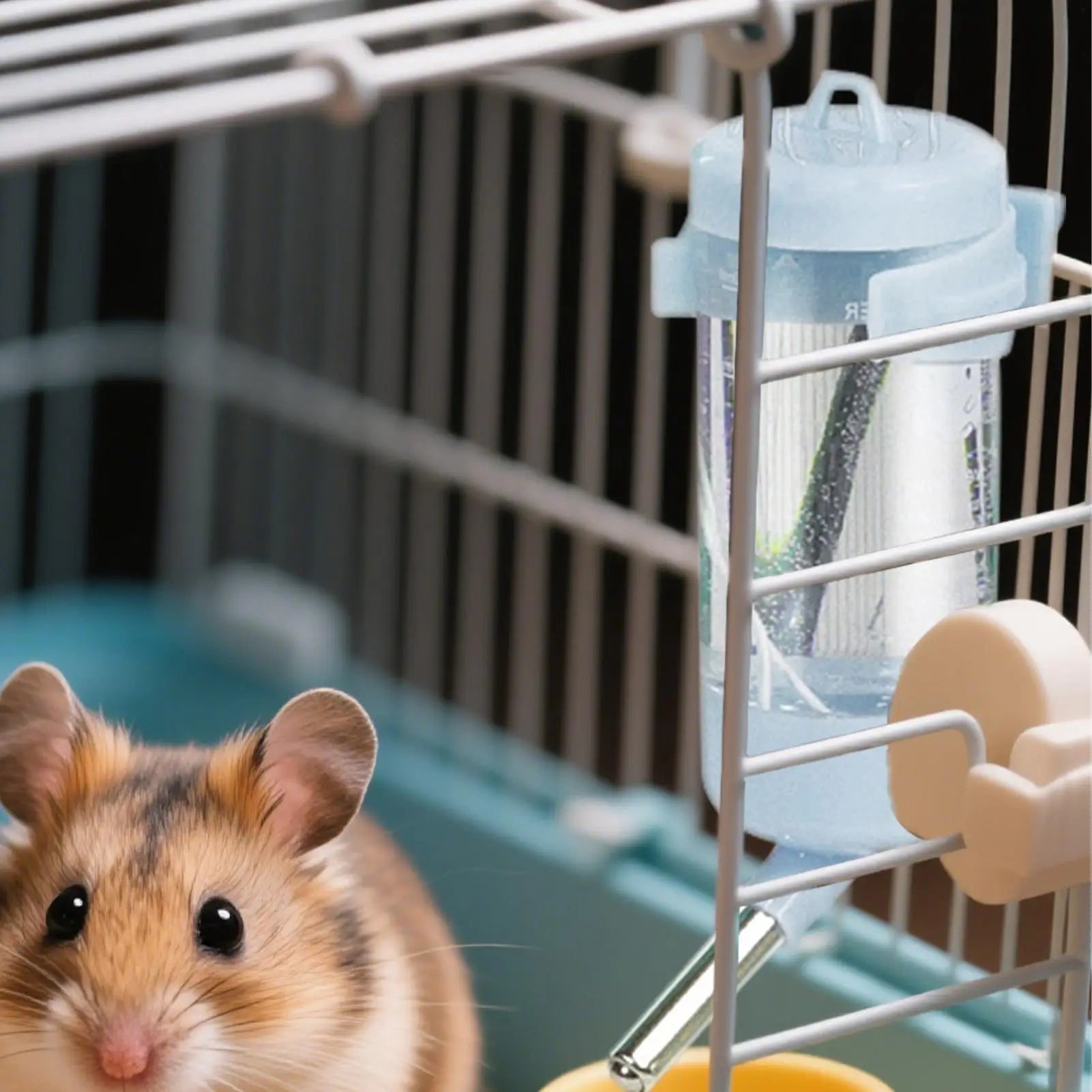 No-Drip Small Pet Water Bottle