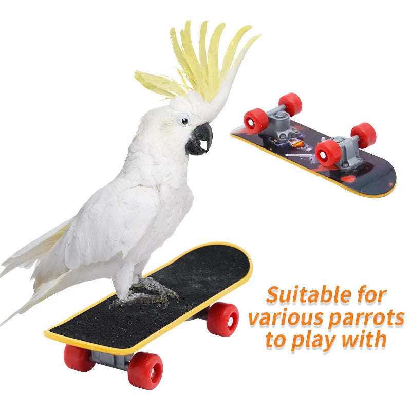 Parrot Skateboard Training Toy