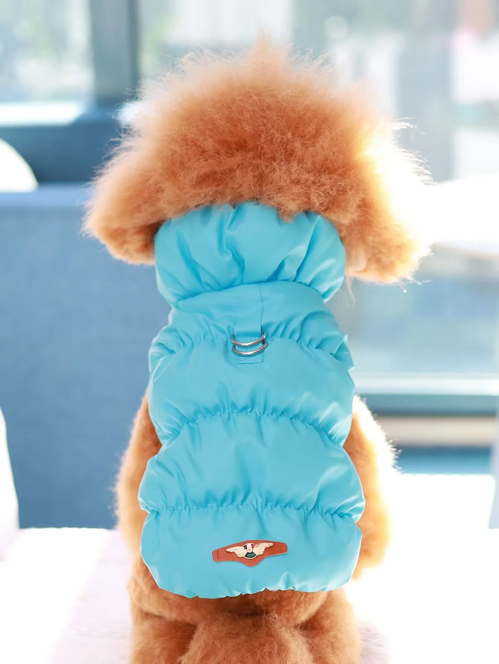 3-Layer Warm Dog Jacket