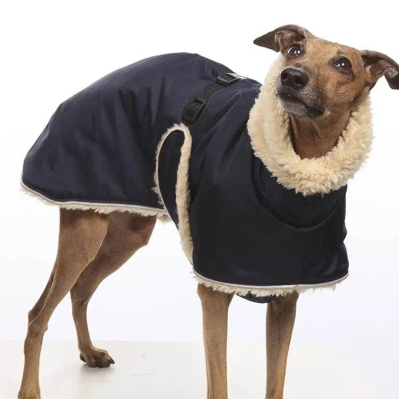 Fleece-Lined Waterproof Dog Jacket