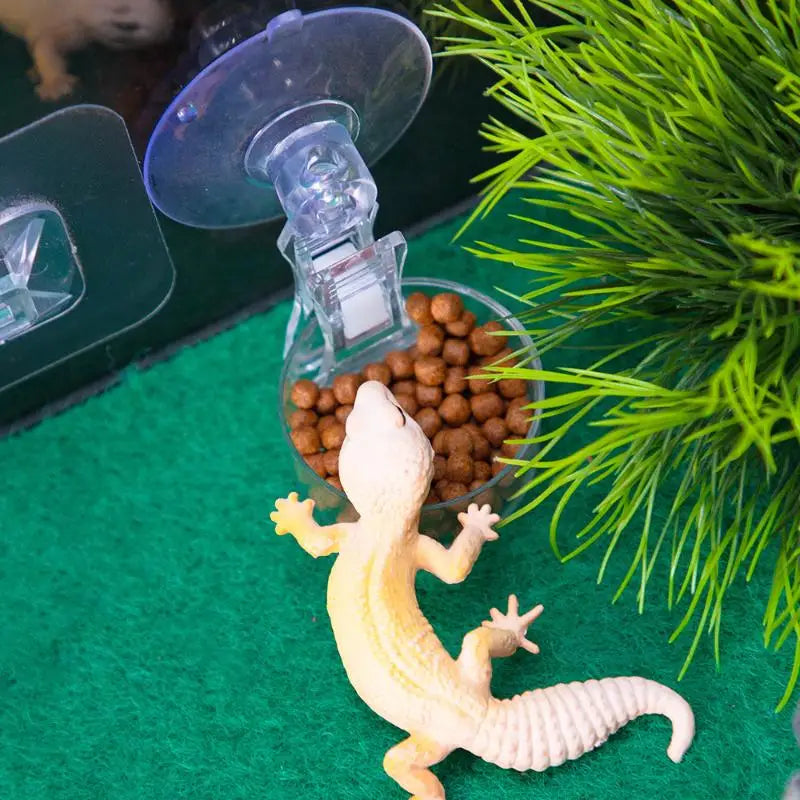 Suction Cup Reptile Food Tray
