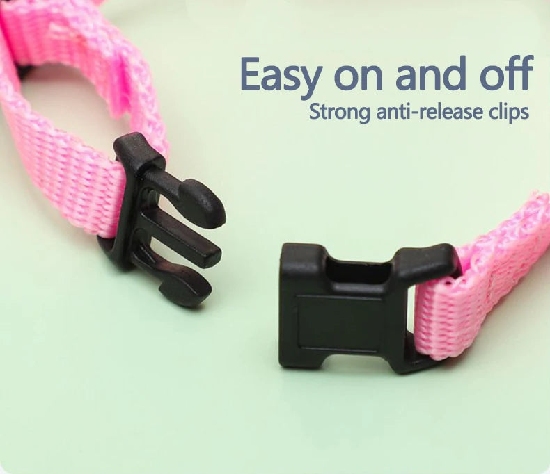 Small Animal Harness & Leash