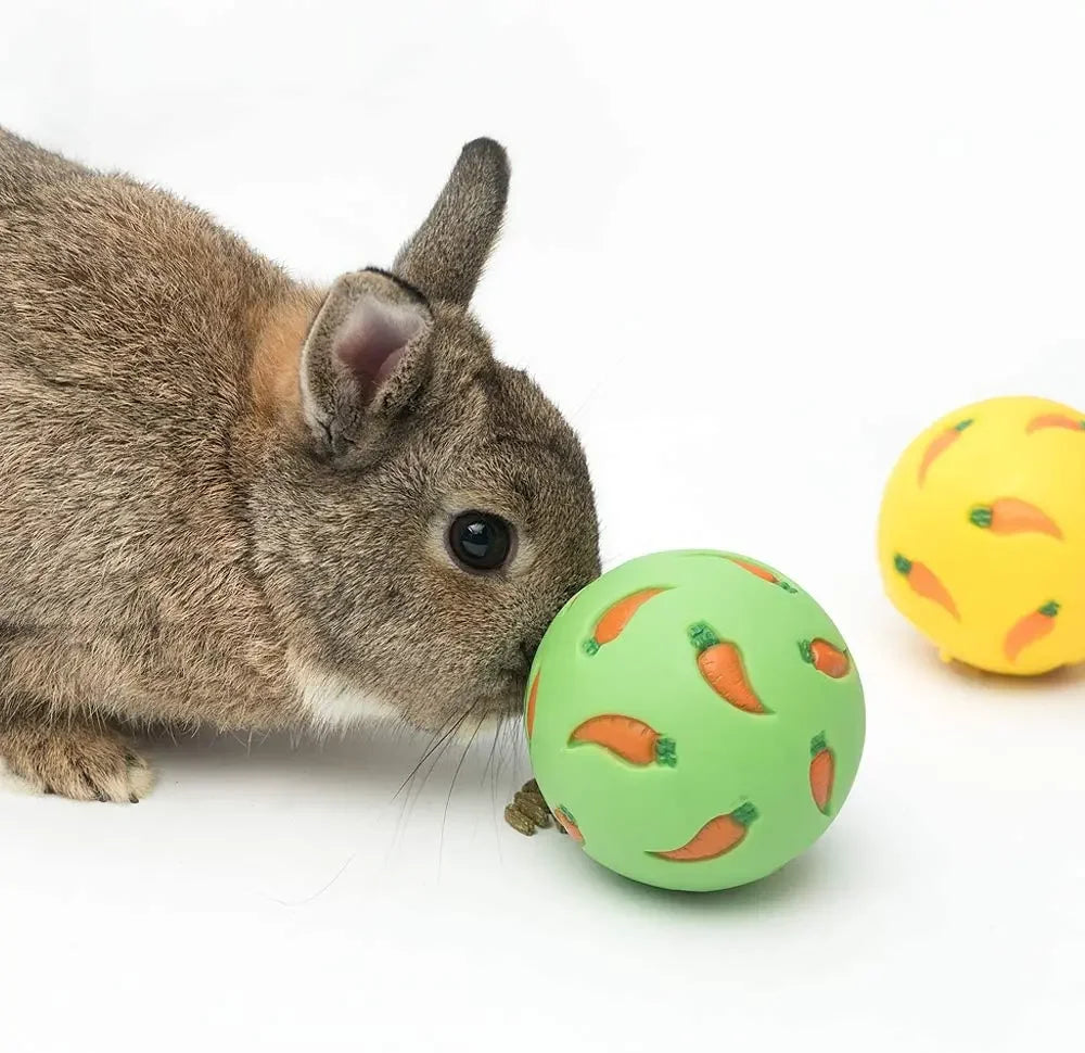 Interactive Treat Ball