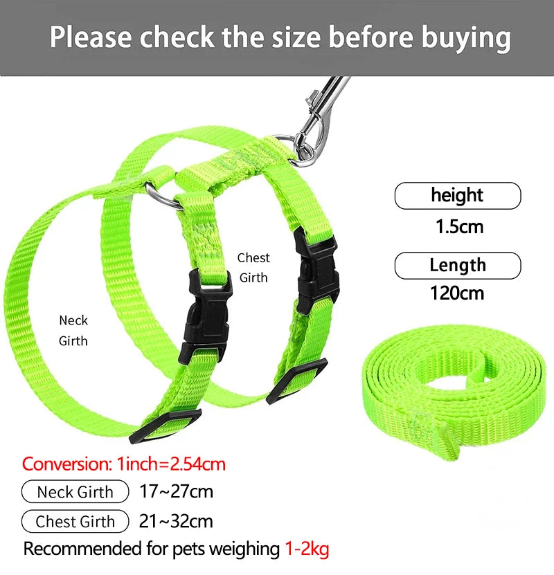 Small Animal Harness & Leash