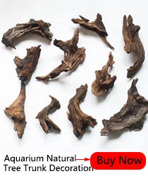 Resin Reptile Feeder Bowl