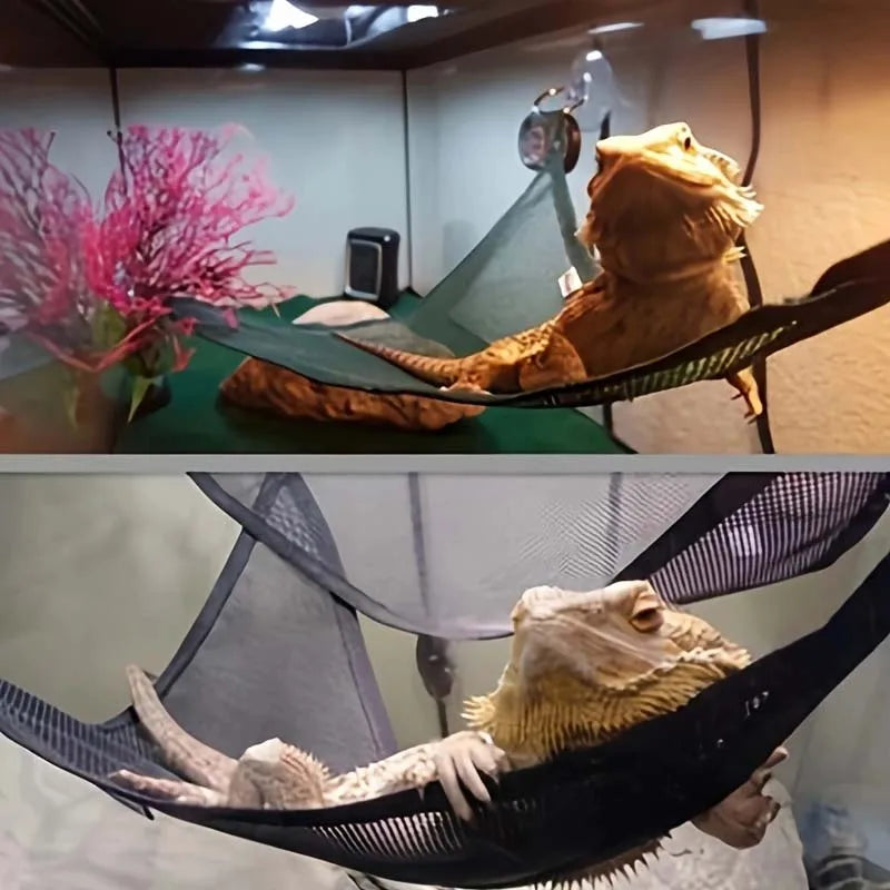 Reptile Hammock & Lounger