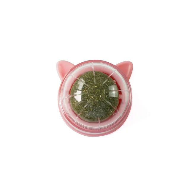 Catnip Energy Ball Toy