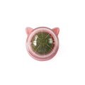 Catnip Energy Ball Toy