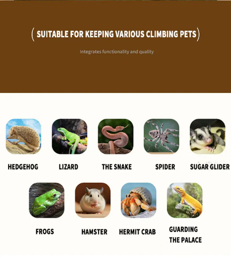 Custom PVC Reptile Vivarium