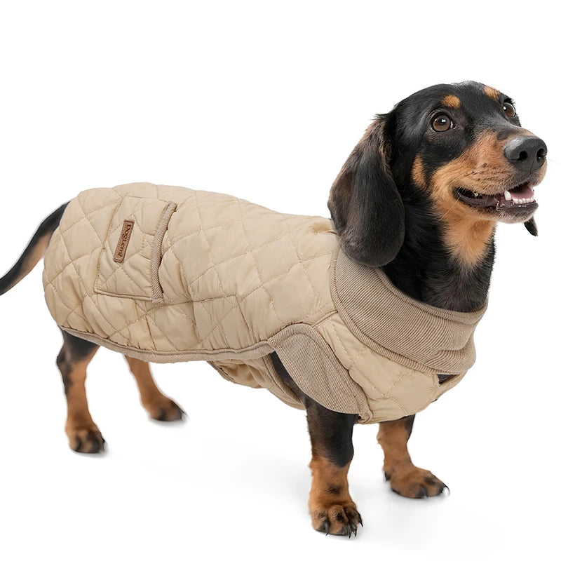 Quilted Dachshund Dog Coat