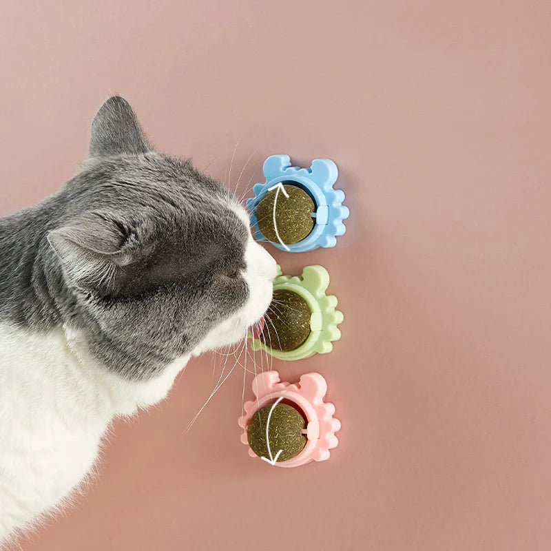 Catnip Energy Ball Toy