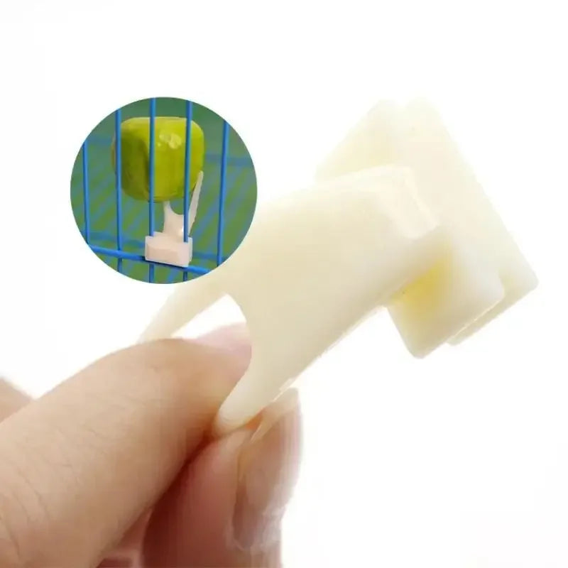 Bird Cage Fruit Forks (5-Pack)