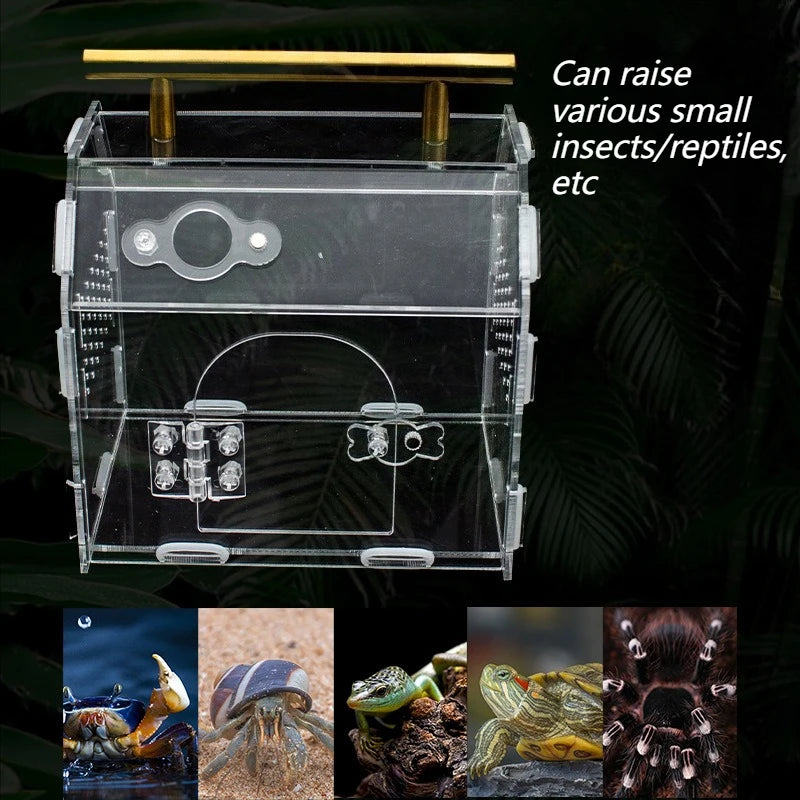 Acrylic Portable Reptile Cage