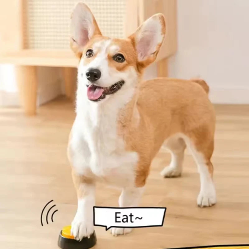 Recordable Pet Talking Button Toy