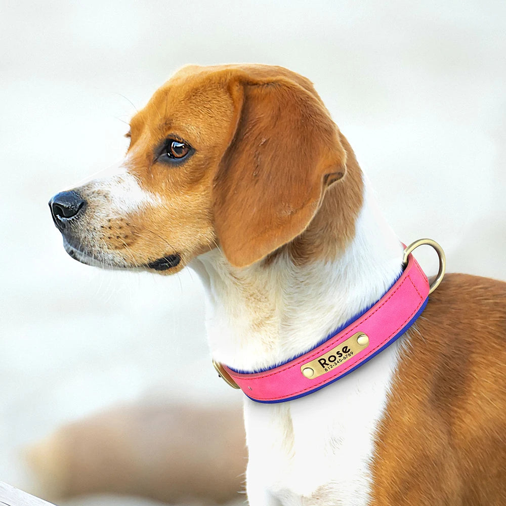 Custom Engraved PU Leather Dog Collar
