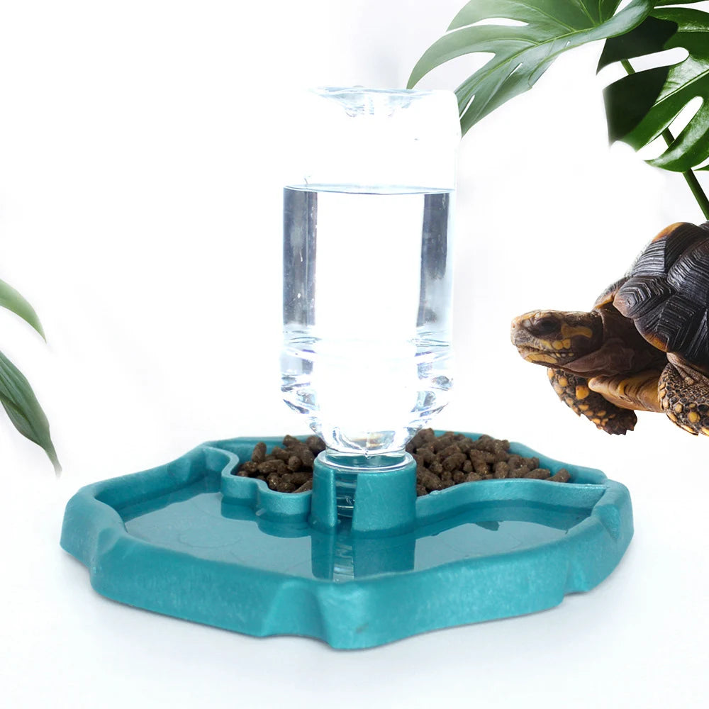 Removable Reptile Turtle Dish