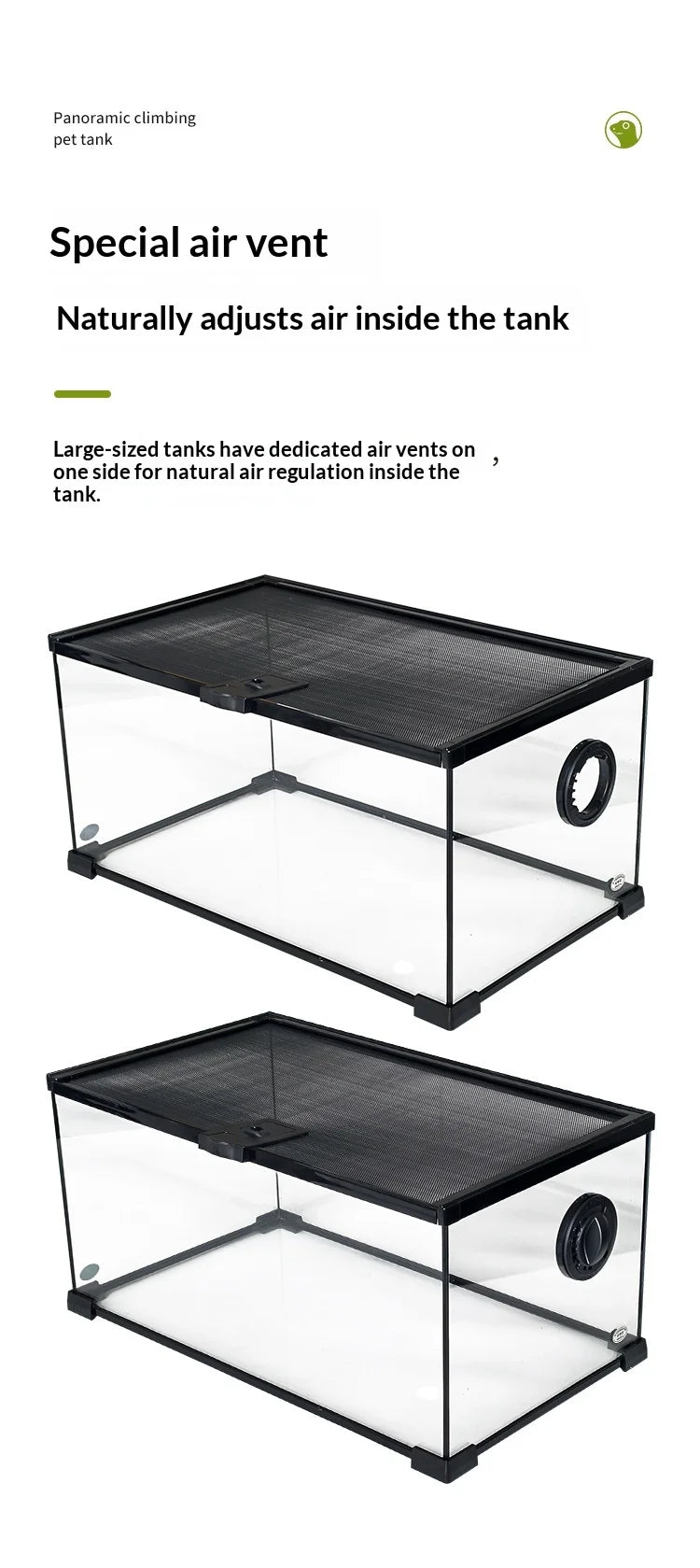 Glass Reptile Display Tank