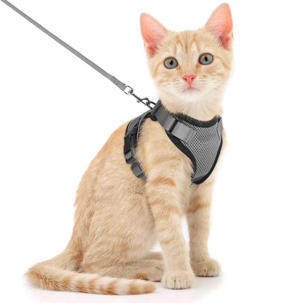 Breathable Cat & Dog Harness Set