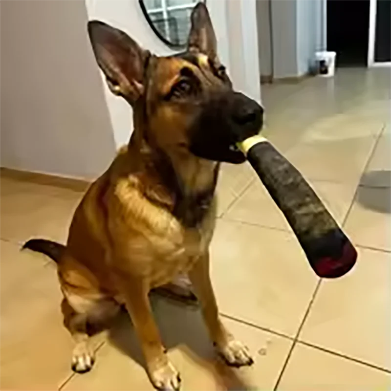 Cigar Squeaky Dog Chew Toy