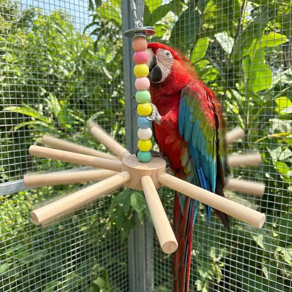 Colourful Bead Bird Perch Stand