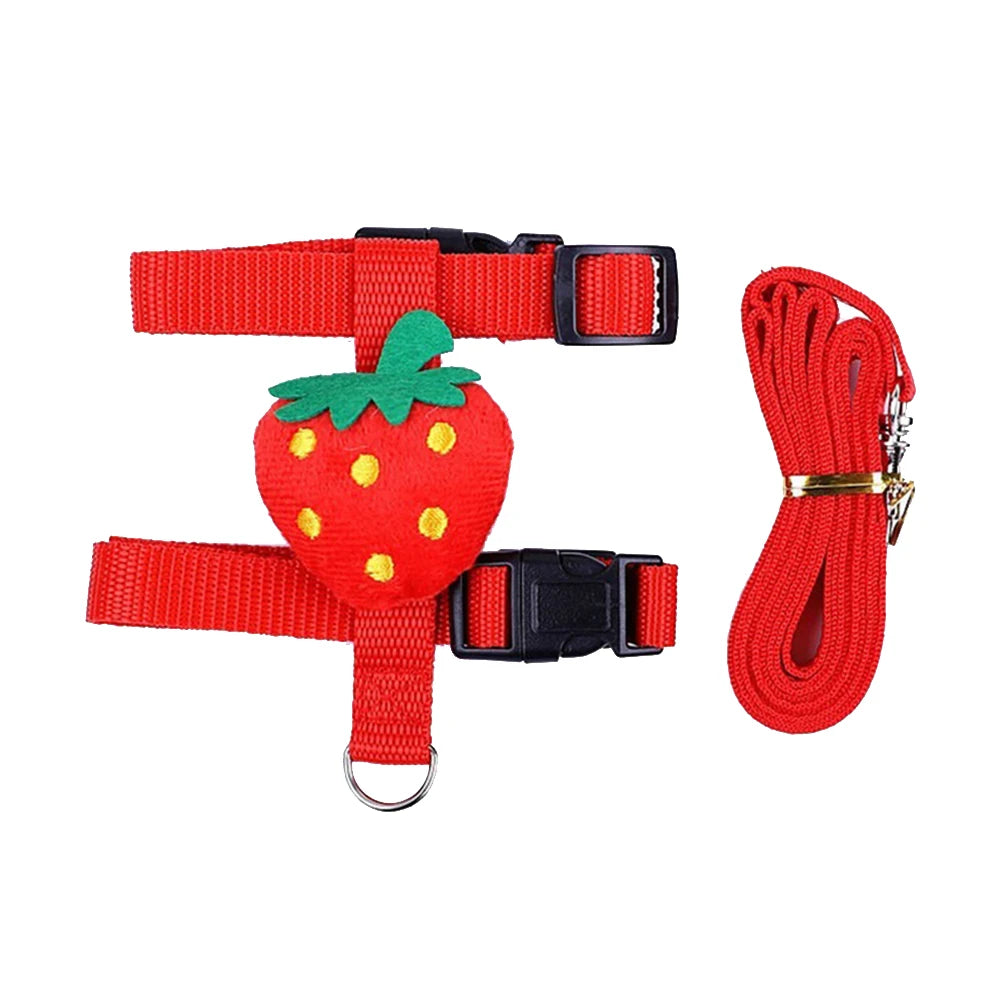 Small Animal Harness & Leash