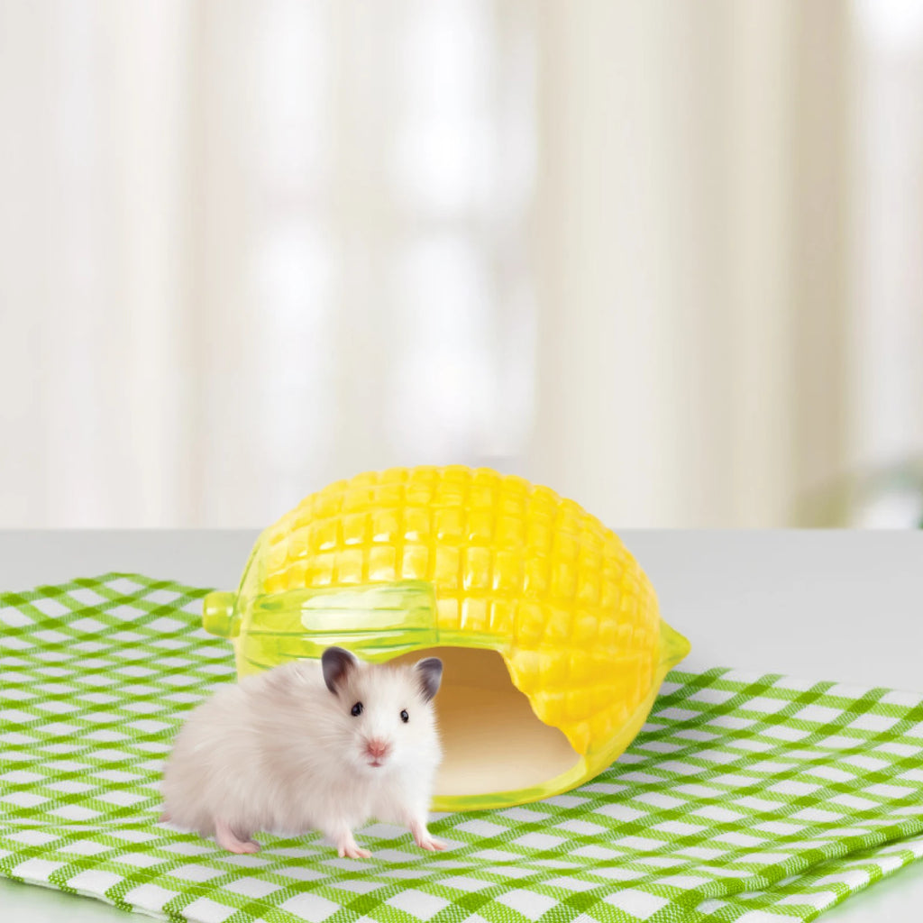 Ceramic Small Pet Food Bowl