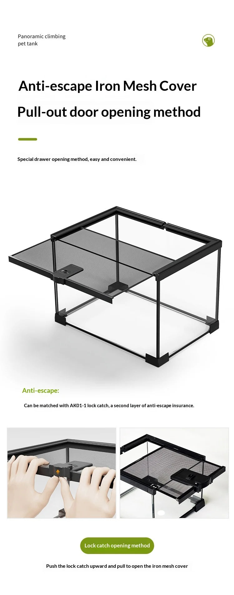 Glass Reptile Display Tank
