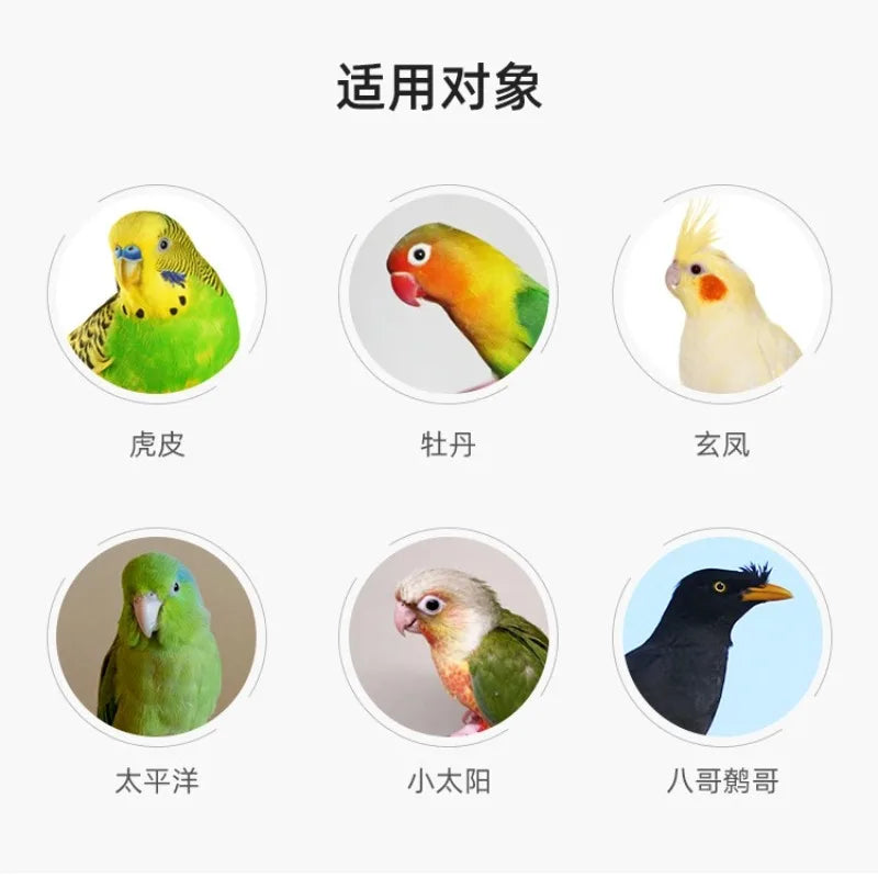 Bird Basketball & Shopping Cart Toy