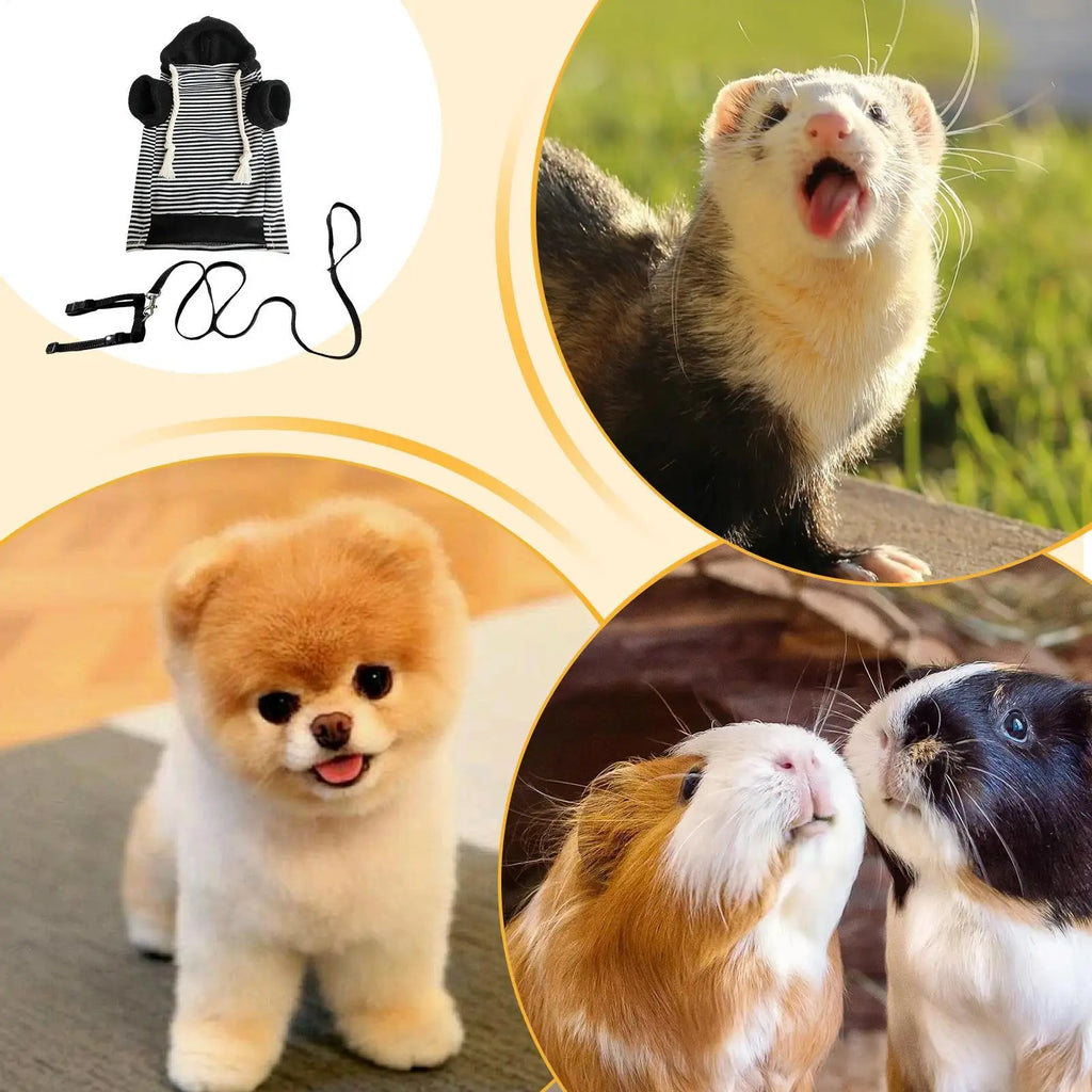 Small Animal Sweatshirt