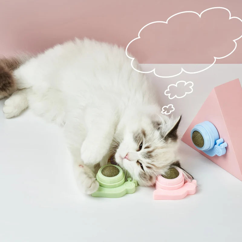 Catnip Energy Ball Toy