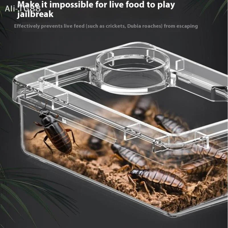 Anti-Escape Reptile Feeder Bowl
