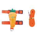 Small Animal Harness & Leash