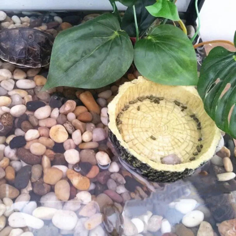 Resin Reptile Feeder Bowl