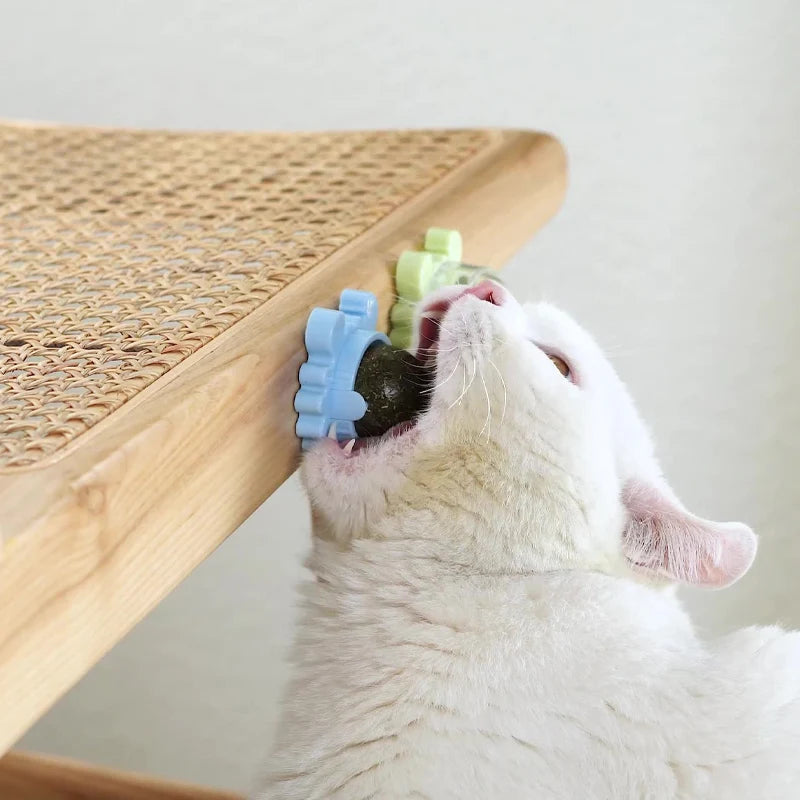 Catnip Energy Ball Toy